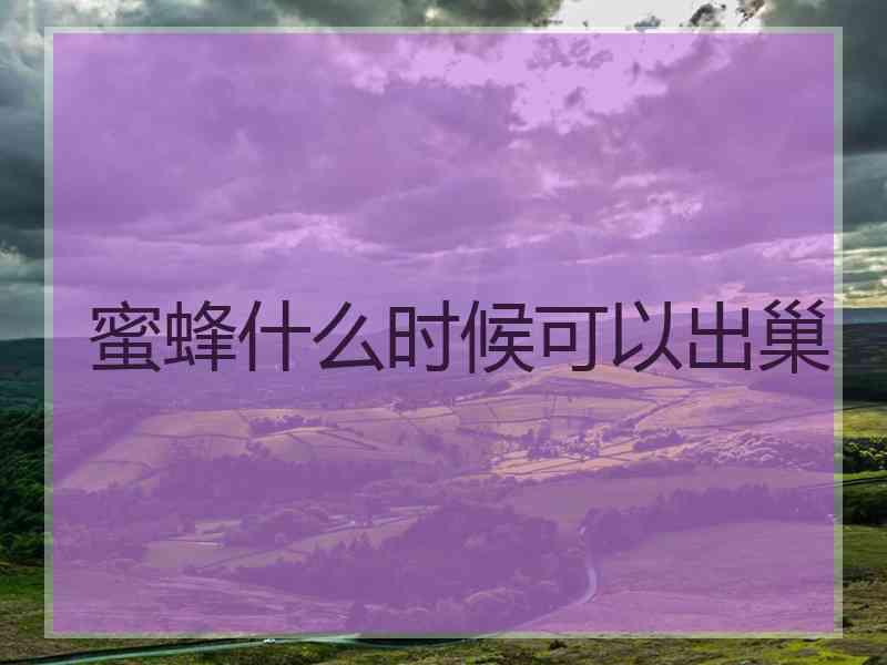 蜜蜂什么时候可以出巢