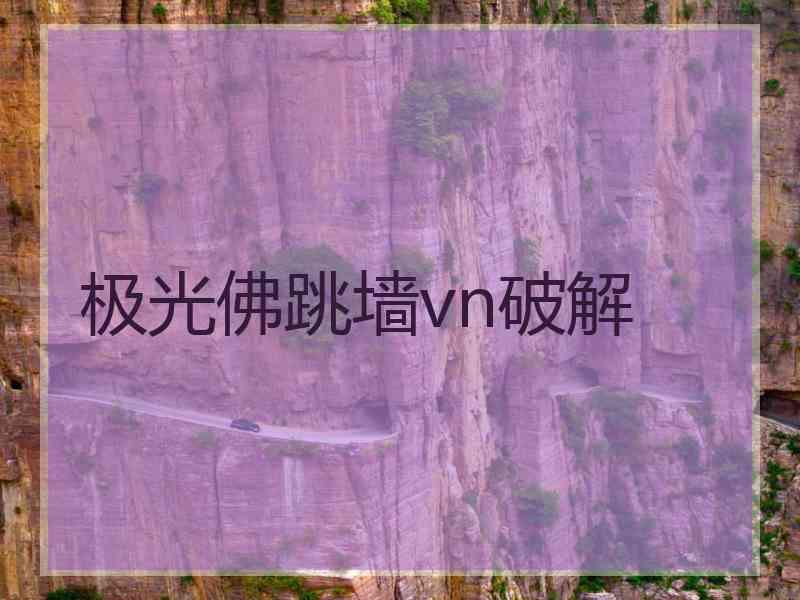 极光佛跳墙vn破解