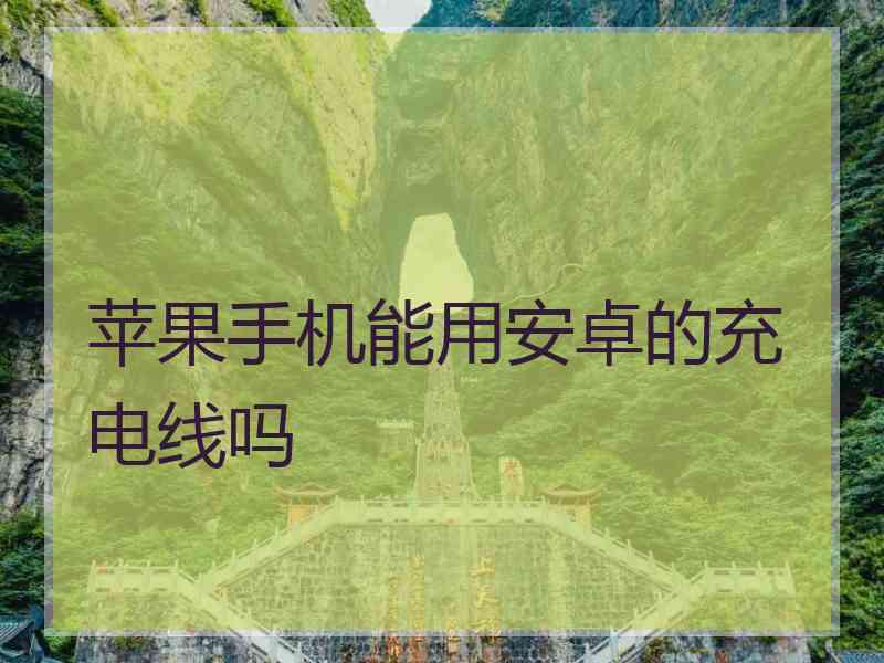 苹果手机能用安卓的充电线吗