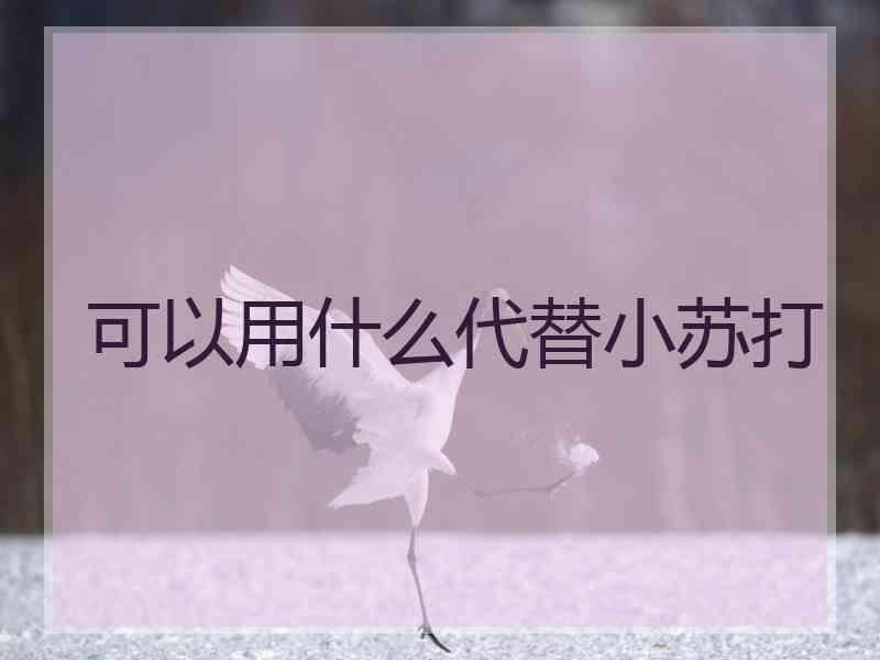 可以用什么代替小苏打