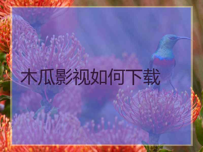 木瓜影视如何下载
