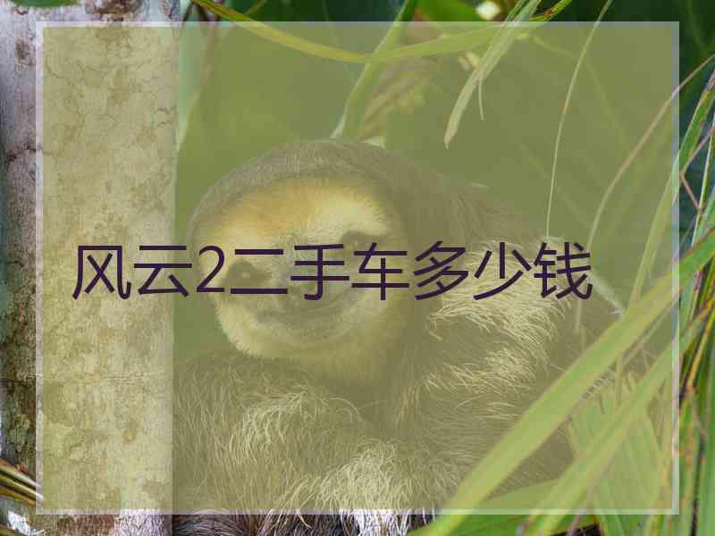 风云2二手车多少钱