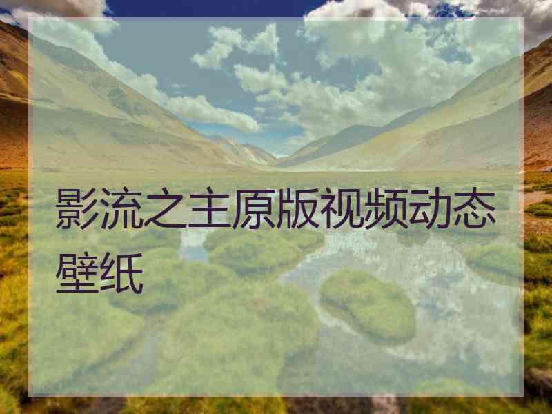 影流之主原版视频动态壁纸