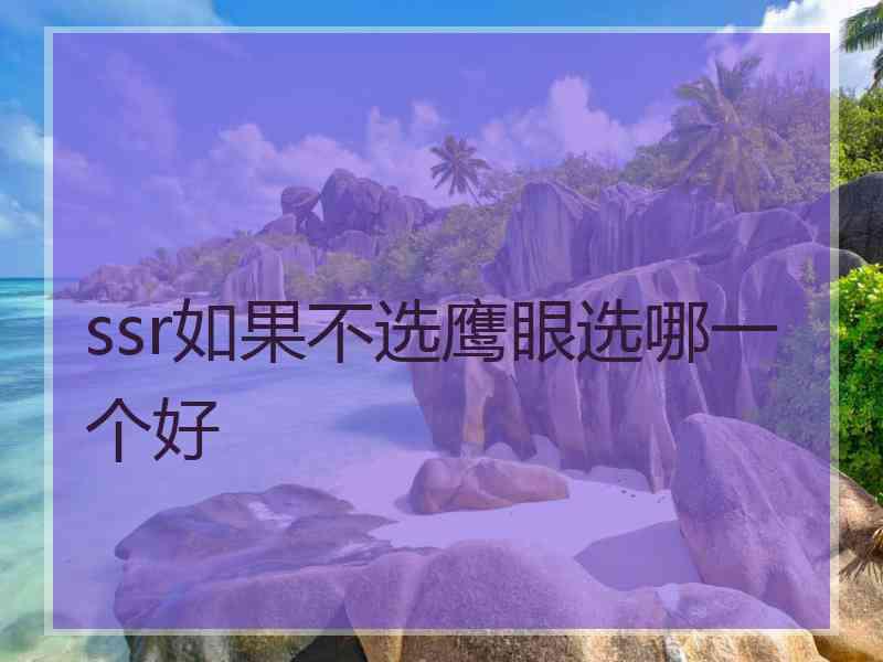 ssr如果不选鹰眼选哪一个好