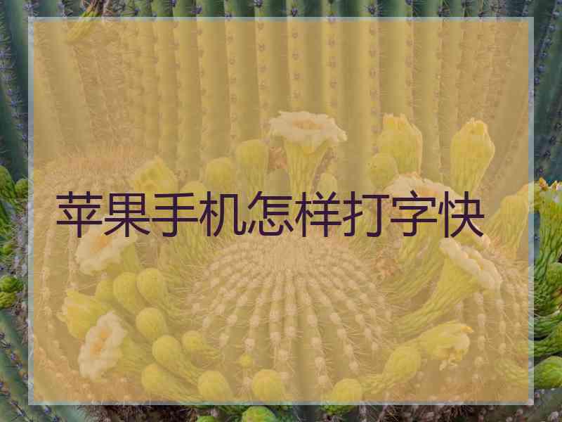 苹果手机怎样打字快