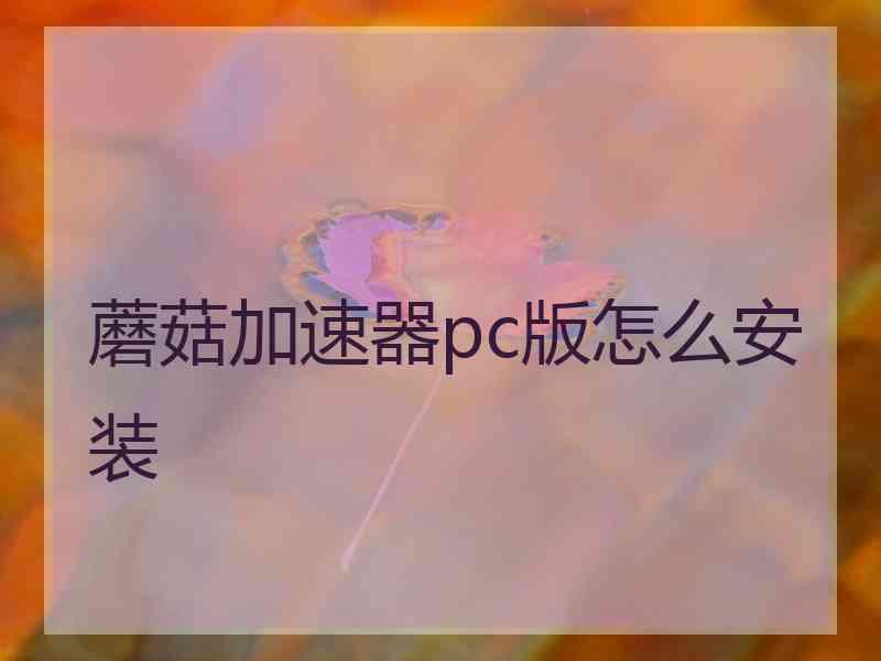 蘑菇加速器pc版怎么安装