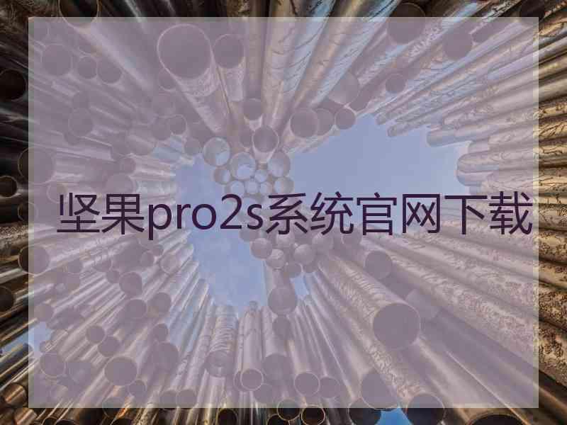坚果pro2s系统官网下载
