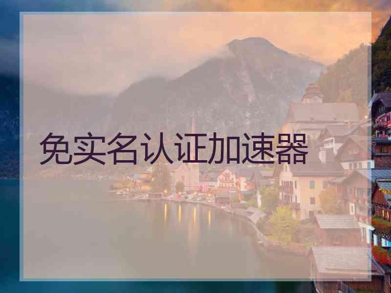 免实名认证加速器