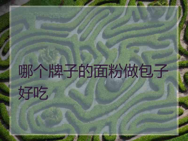 哪个牌子的面粉做包子好吃