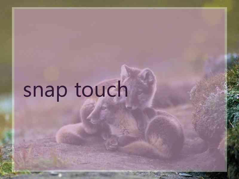snap touch