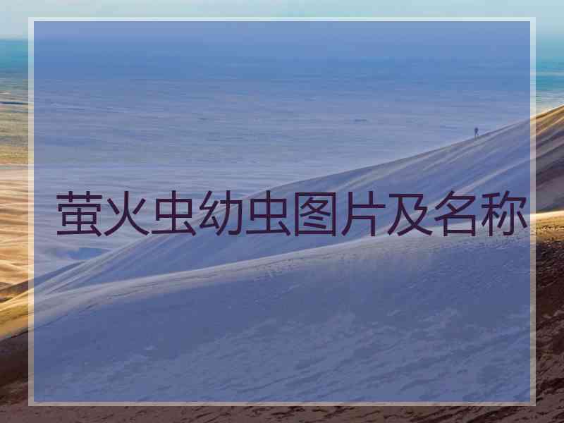萤火虫幼虫图片及名称