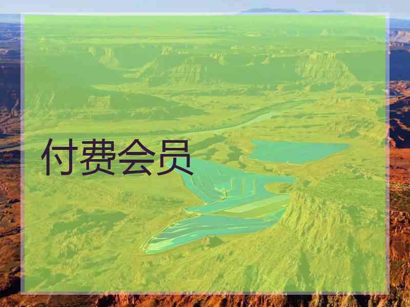 付费会员