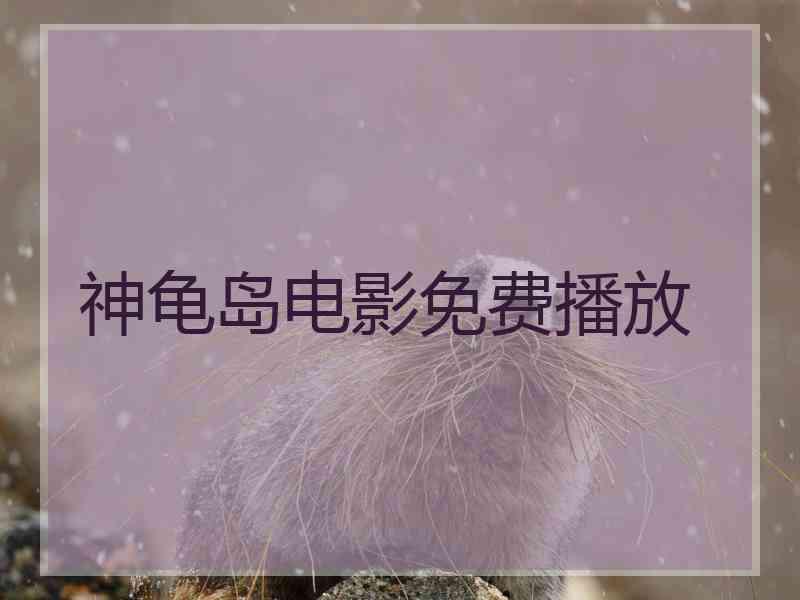 神龟岛电影免费播放
