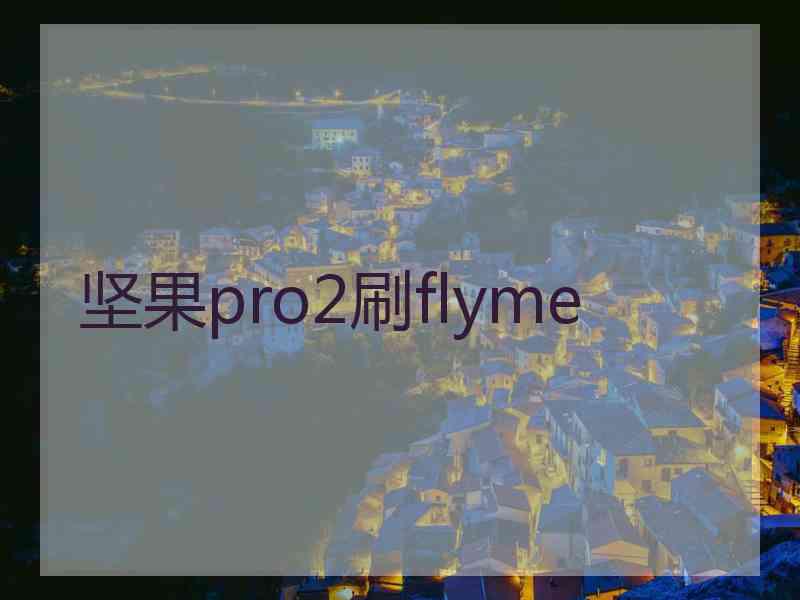 坚果pro2刷flyme