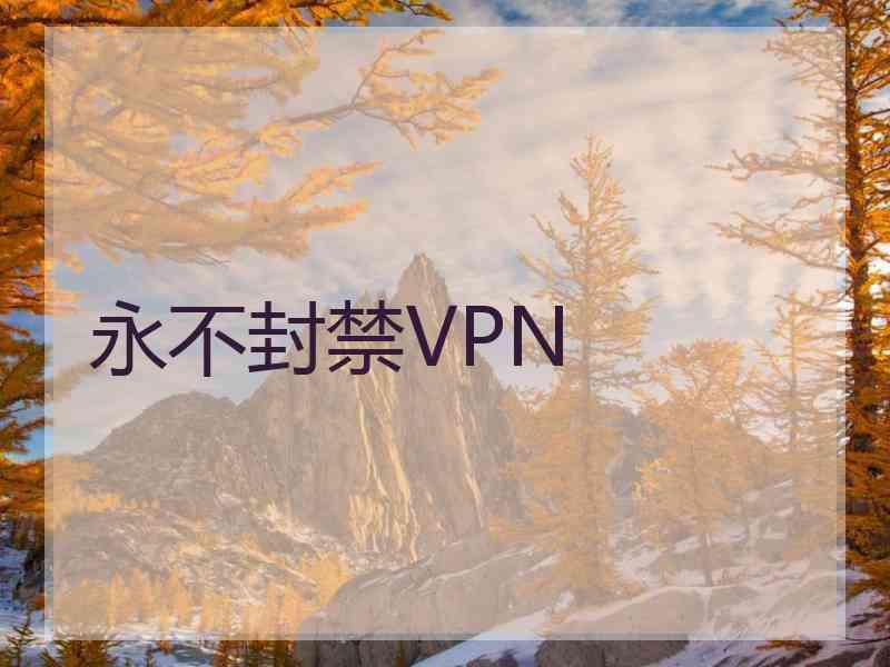 永不封禁VPN