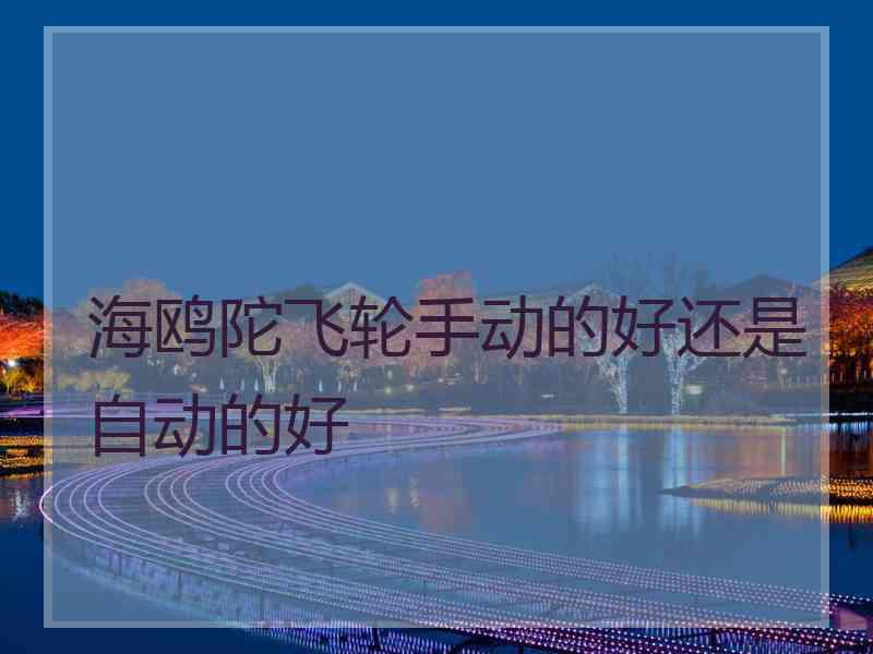 海鸥陀飞轮手动的好还是自动的好