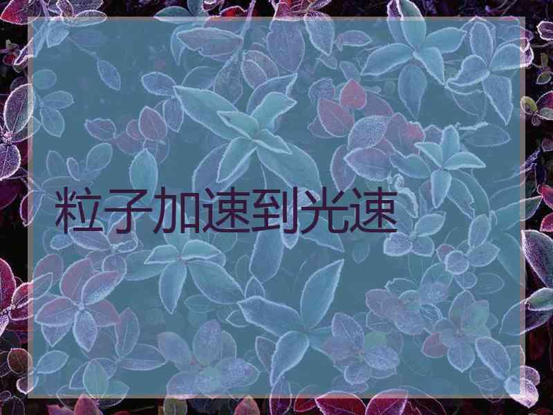 粒子加速到光速