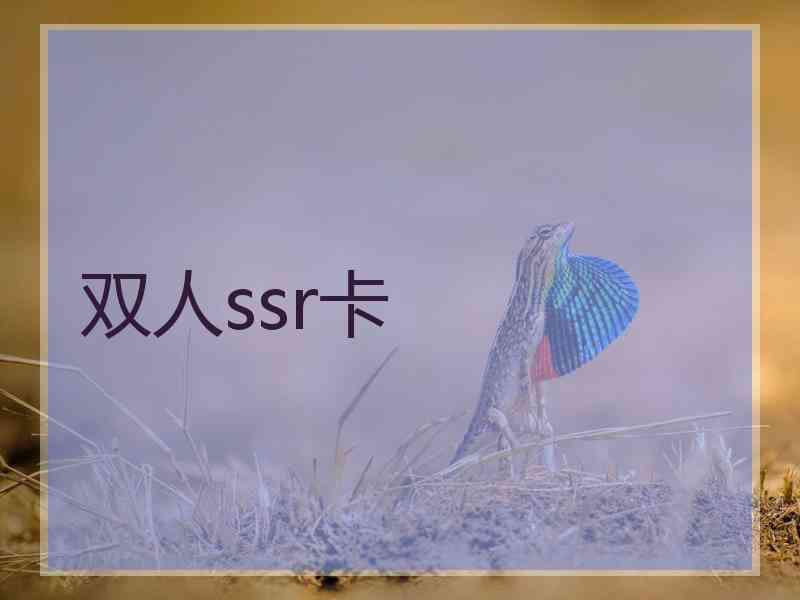 双人ssr卡