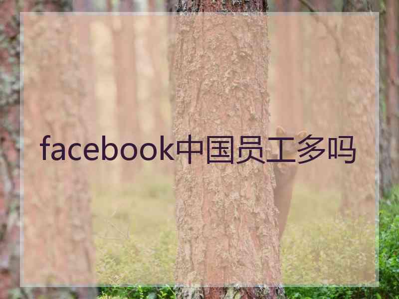 facebook中国员工多吗