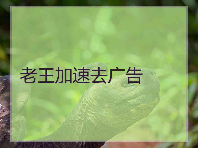 老王加速去广告