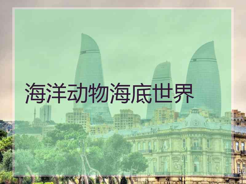 海洋动物海底世界