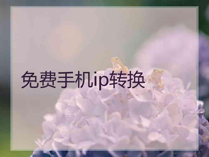 免费手机ip转换