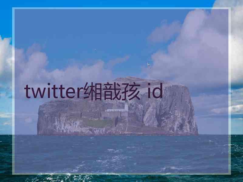 twitter缃戠孩 id