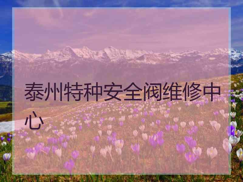 泰州特种安全阀维修中心