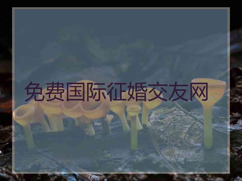 免费国际征婚交友网