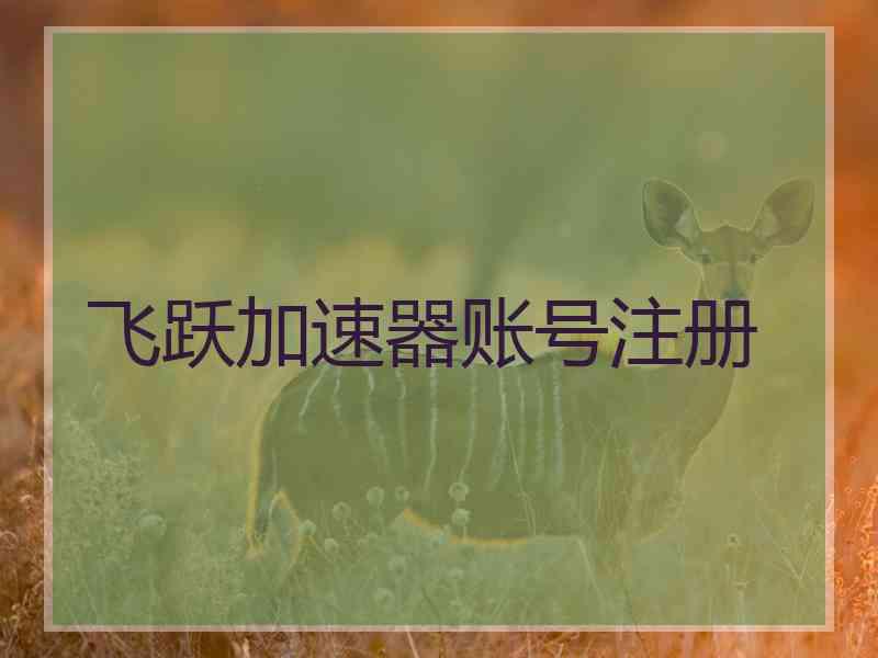 飞跃加速器账号注册