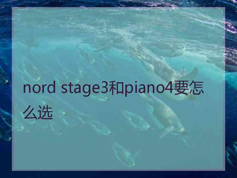 nord stage3和piano4要怎么选
