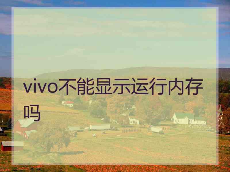 vivo不能显示运行内存吗