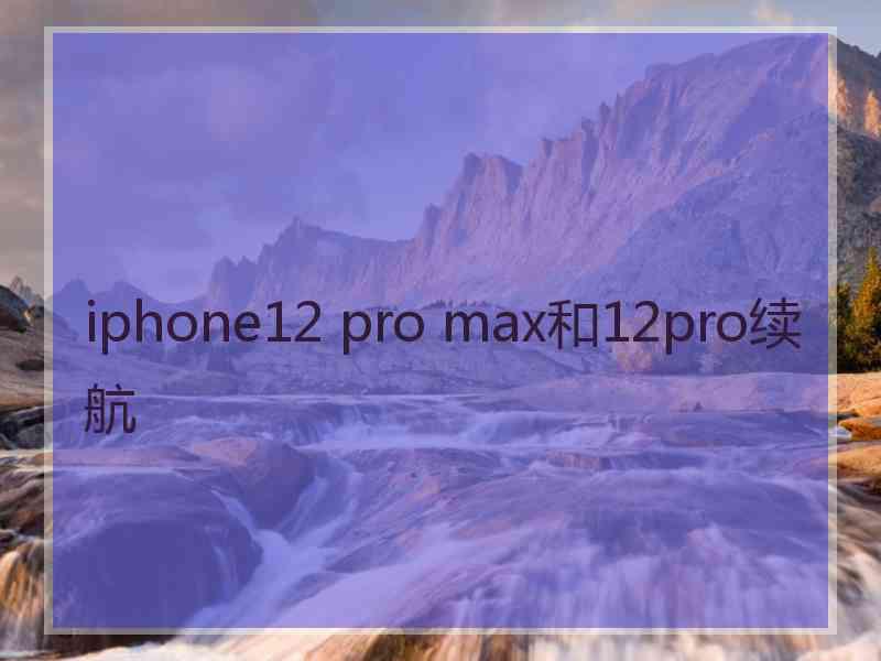 iphone12 pro max和12pro续航