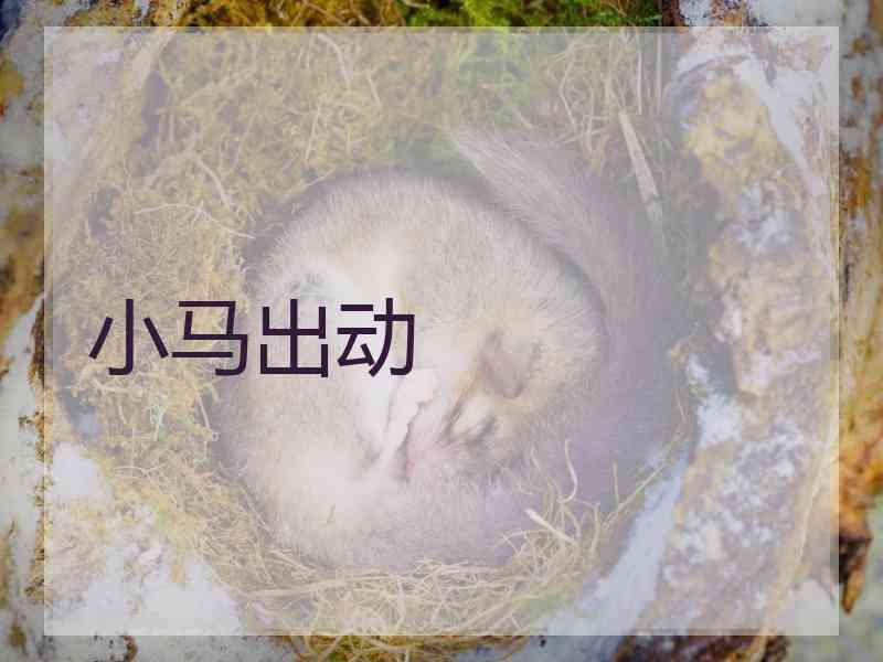 小马出动