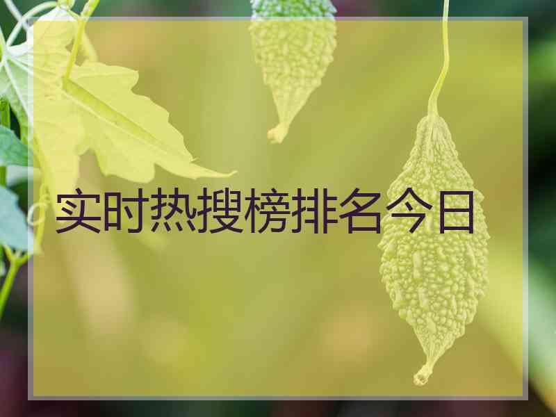 实时热搜榜排名今日