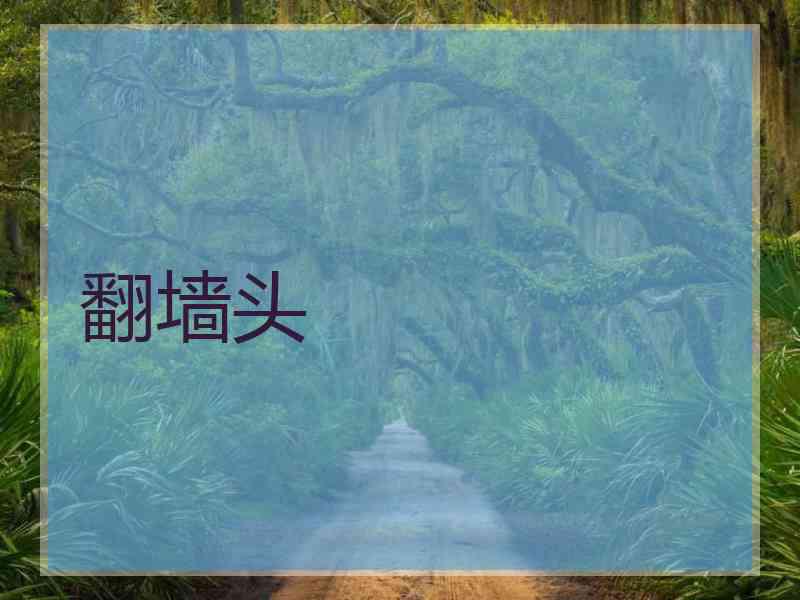 翻墙头