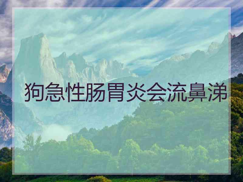 狗急性肠胃炎会流鼻涕