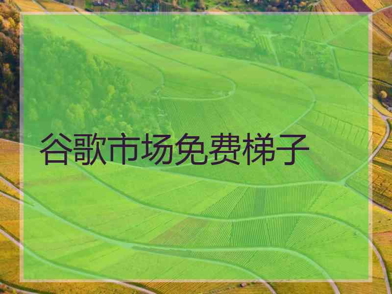谷歌市场免费梯子