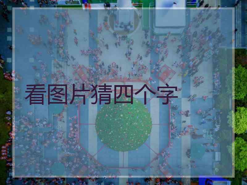 看图片猜四个字