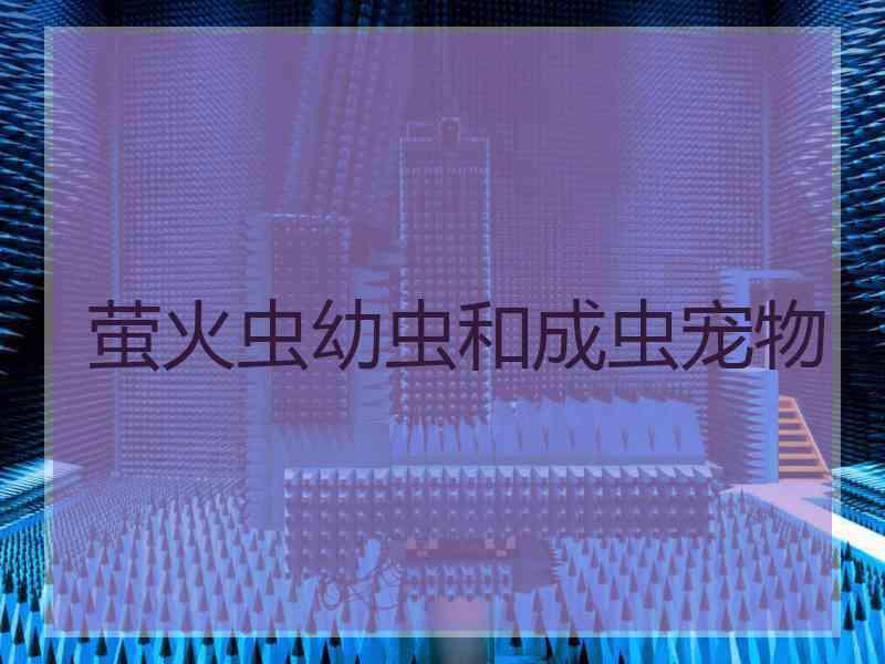 萤火虫幼虫和成虫宠物