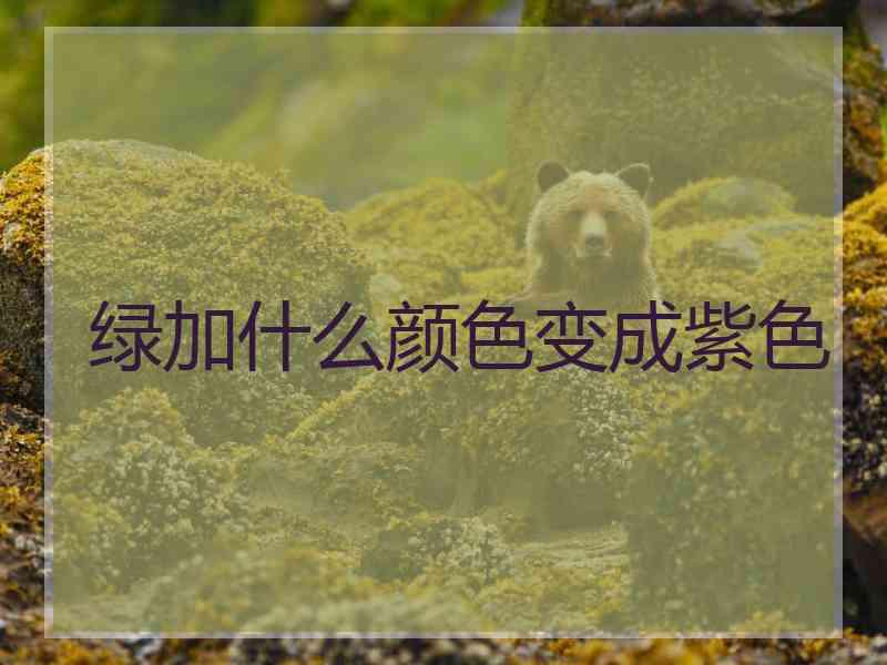 绿加什么颜色变成紫色
