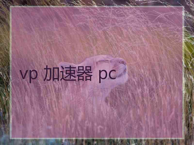 vp 加速器 pc