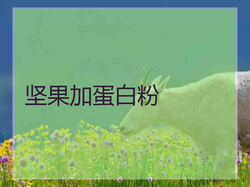 坚果加蛋白粉