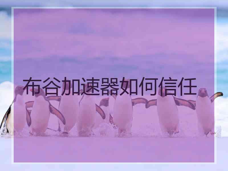 布谷加速器如何信任