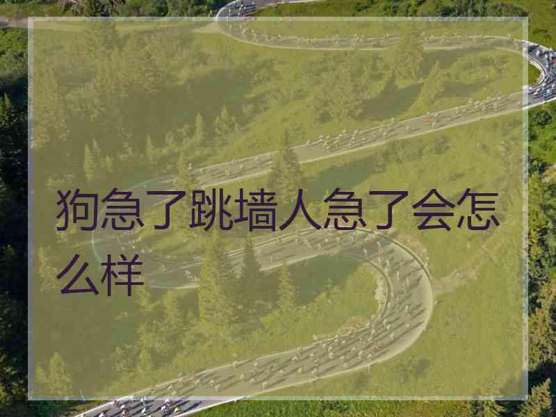 狗急了跳墙人急了会怎么样