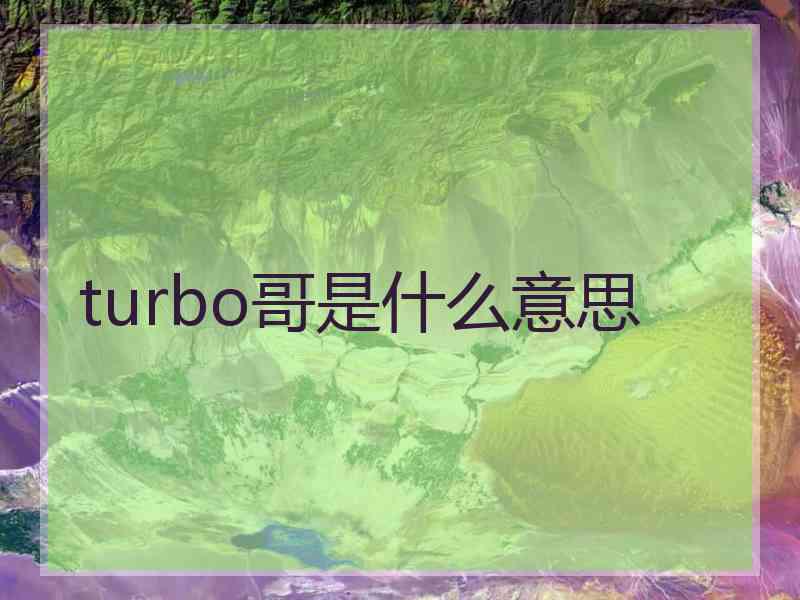 turbo哥是什么意思