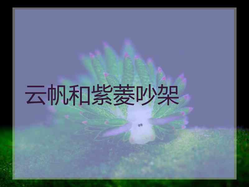 云帆和紫菱吵架