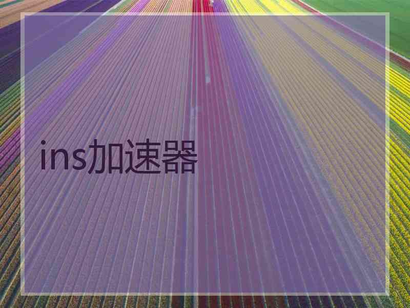ins加速器