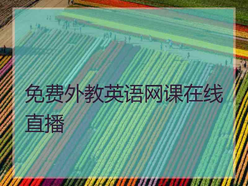 免费外教英语网课在线直播