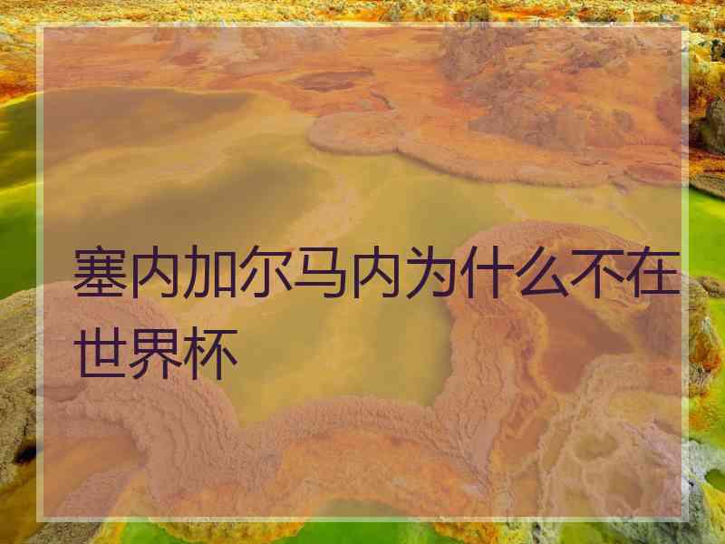 塞内加尔马内为什么不在世界杯